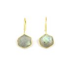 Gemstone Labradorite Earring Set~ Gold Finish Octagon Shape Earring Pair